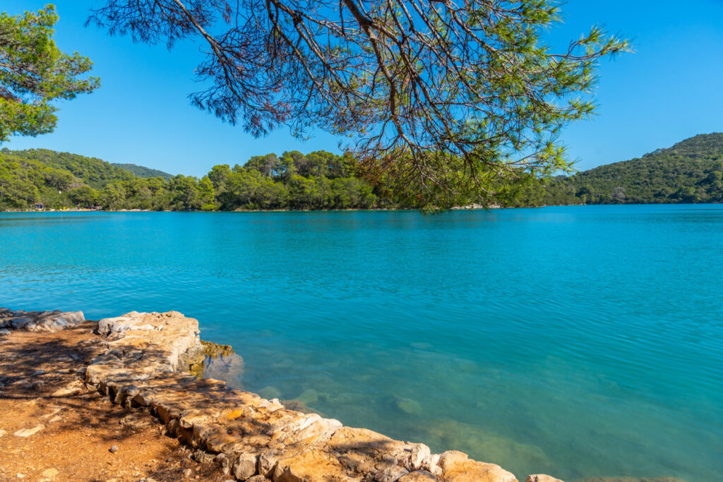 Mljet National Park is one of the best places to swim in croatia