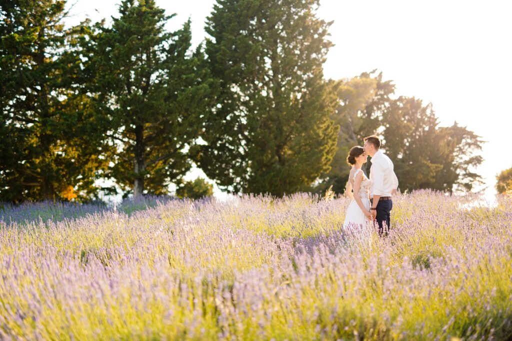 Weddings in Croatia - surrounded by the lavender field in Croatia as a couple poses for their wedding photos