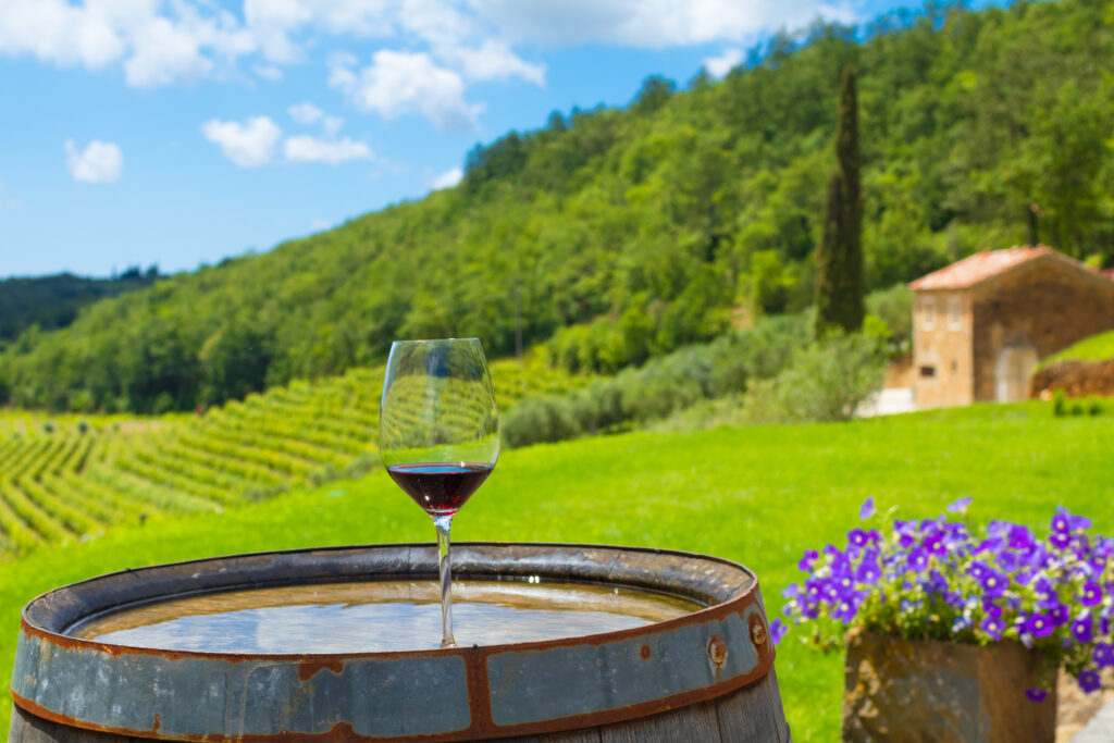 The best wine in Croatia - the ultimate guide (a glass of red wine on a barrel in a Croatian vineyard)