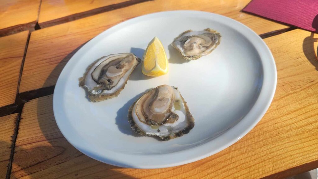 oysters on a plate with lemon in Croatia