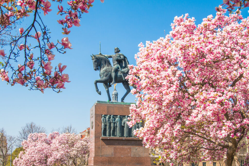 what is the best month to go to Croatia: April in Croatia brings cherry blossoms in the trees all around a historic statue in Zagreb