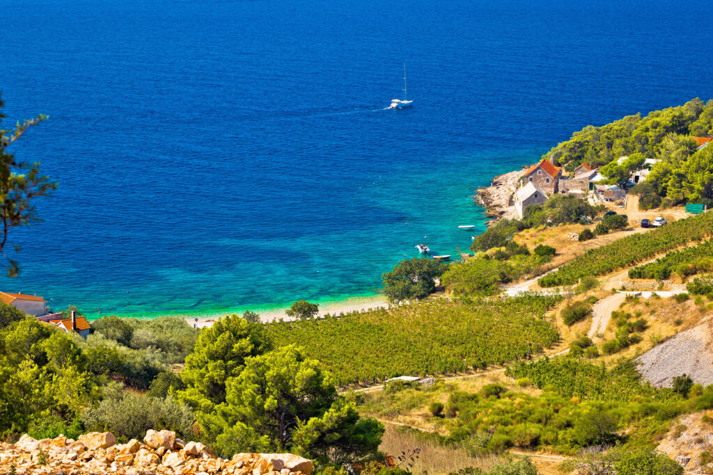 Dalmatia - wine regions of Croatia