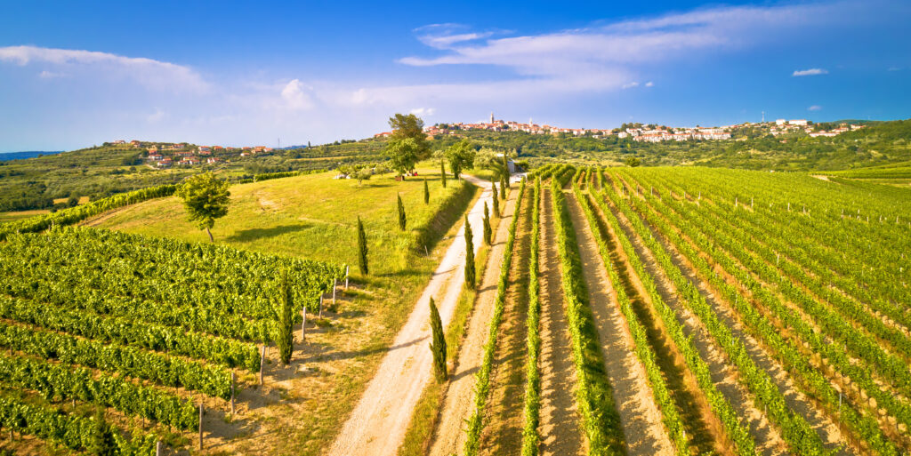 Istria and Kvarner - wine regions of Croatia