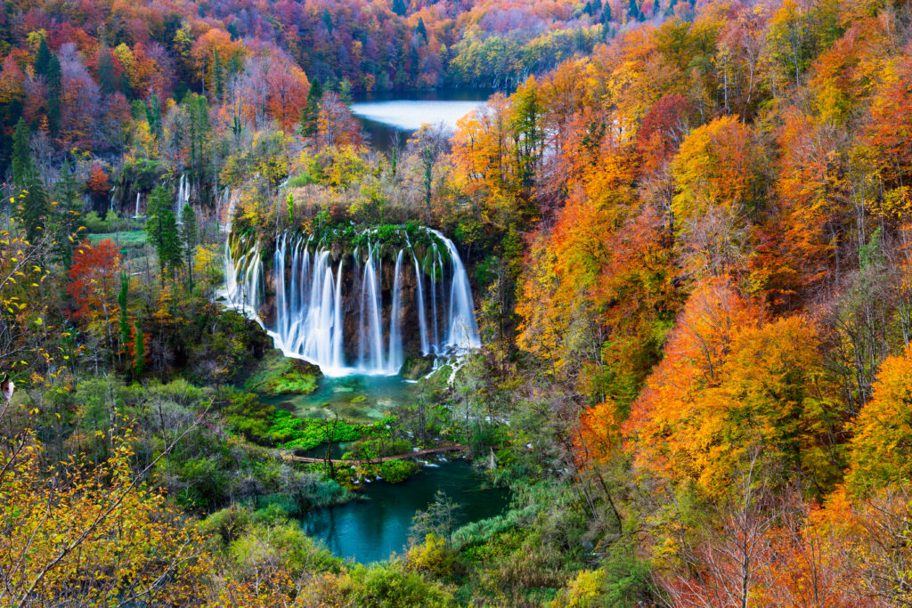 best months to visit Croatia - autumn leaves in the national parks