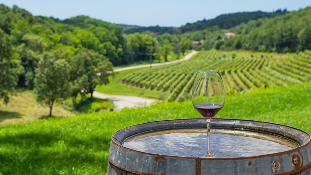 Red wine glass with Istrian vineyards in the background